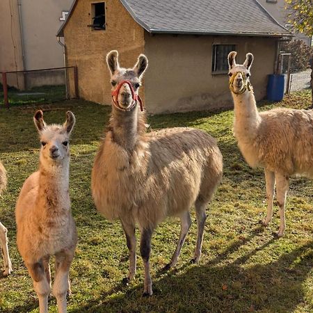 Ferienwohnungen Satkula Crostwitz Exterior foto
