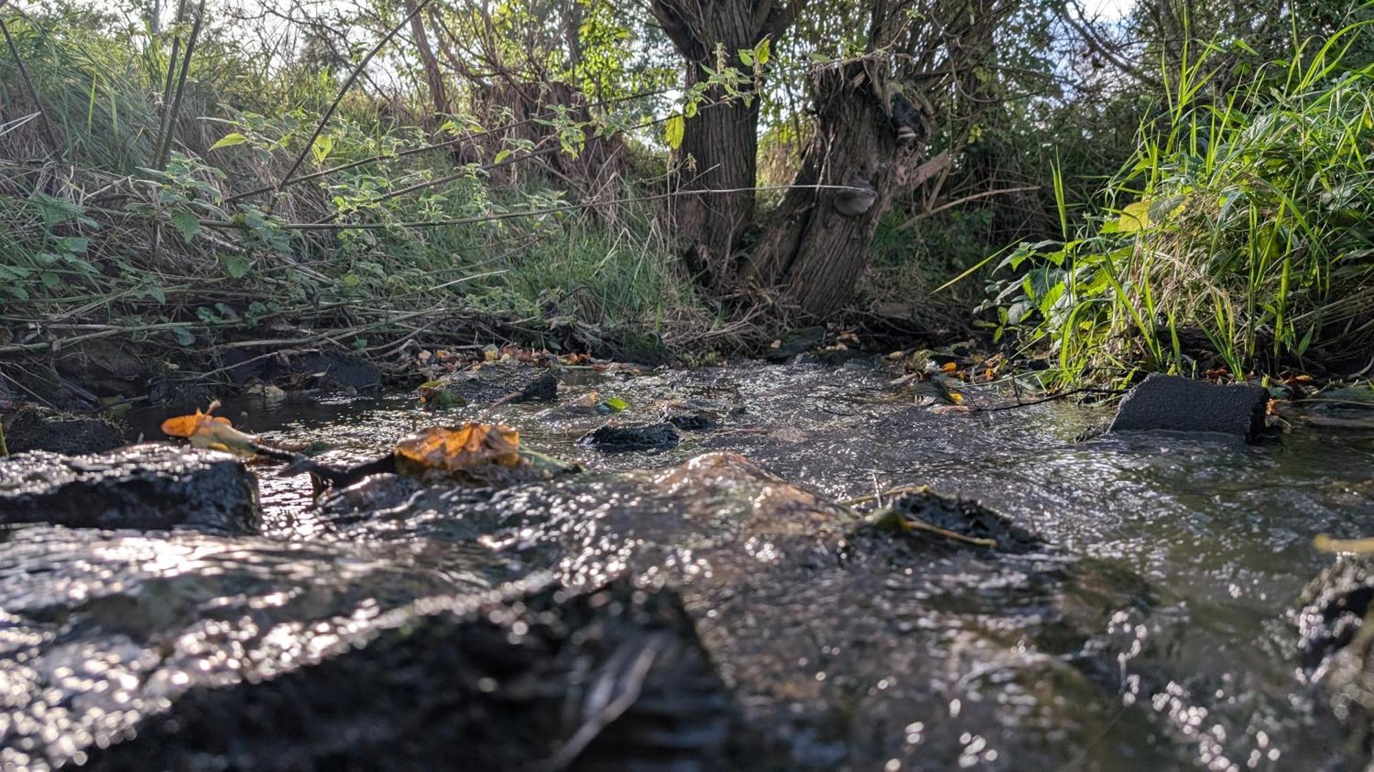 Ferienwohnungen Satkula Crostwitz Exterior foto